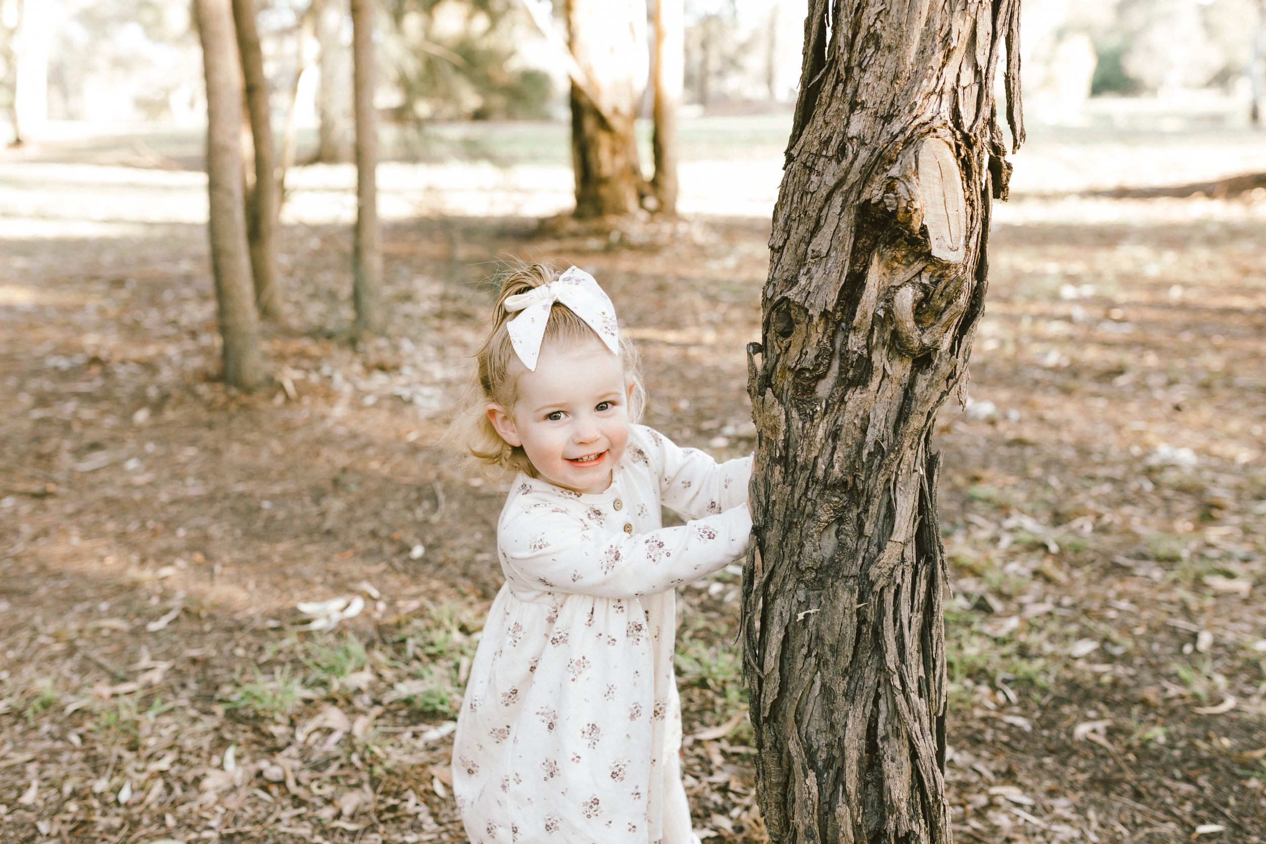 A small child in a white dress plays peek-a-boo behind a tree trunk in a sunlit wooded area.