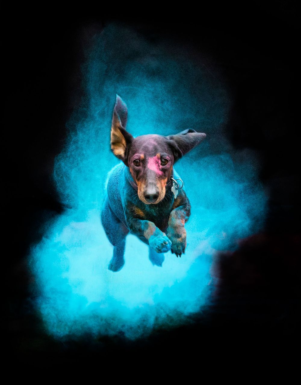 Holi poros fotózás