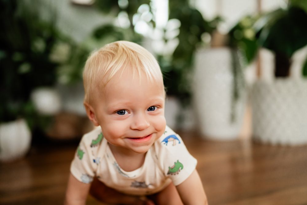 Series of six photos showing a happy baby in white clothing playing and crawling on hardwood floors by green plants.