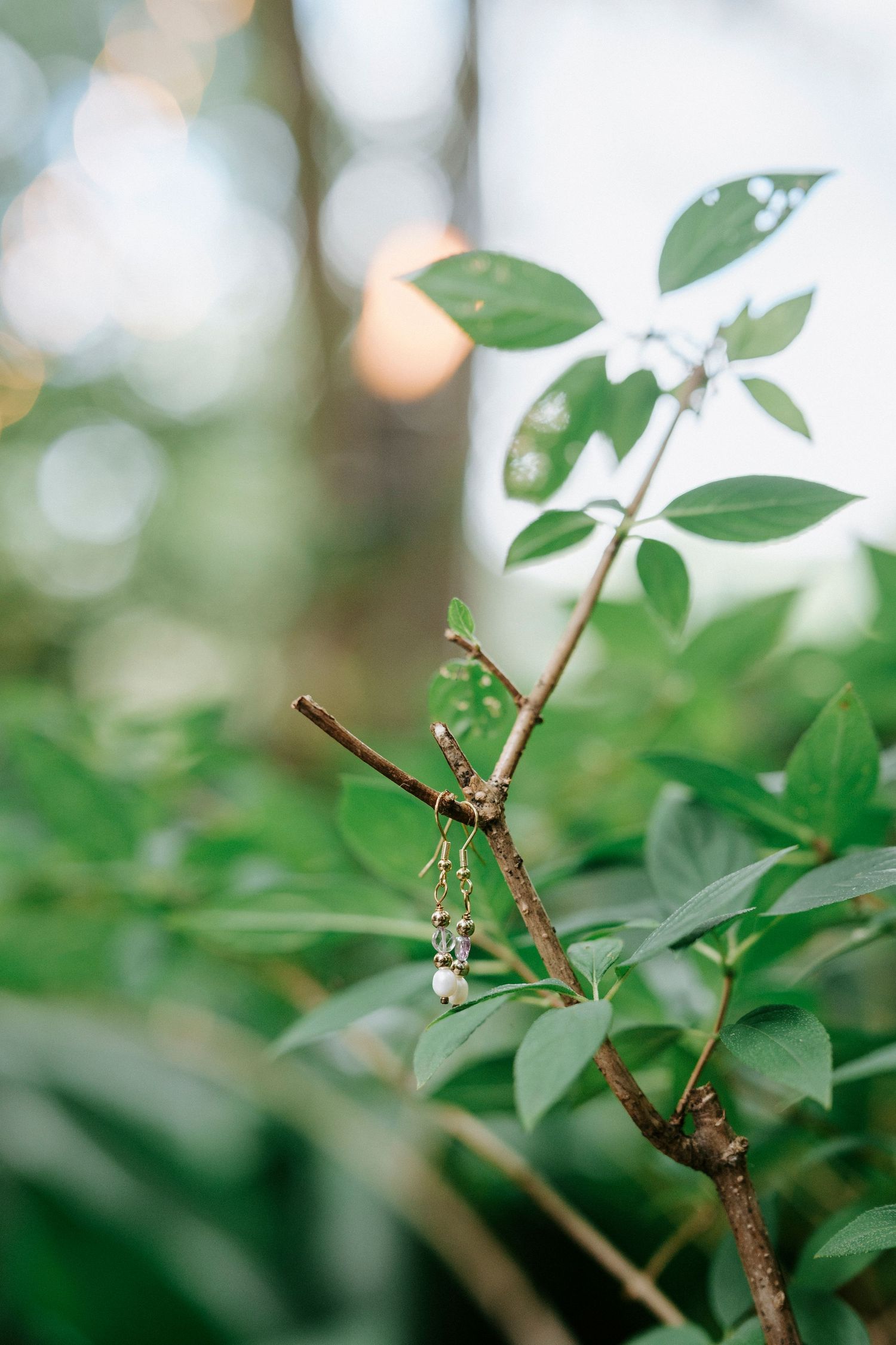 White flower buds and green leaves blur into soft bokeh in a nature macro photograph.