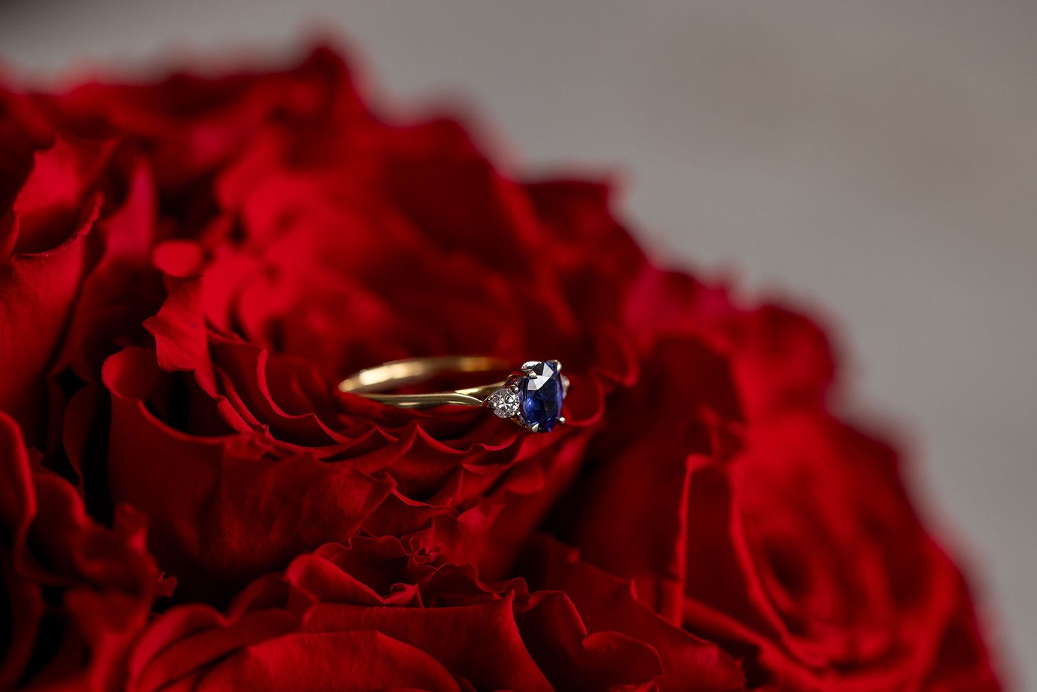 Gold engagement ring with blue stone displayed atop vibrant red rose petals in macro photography.