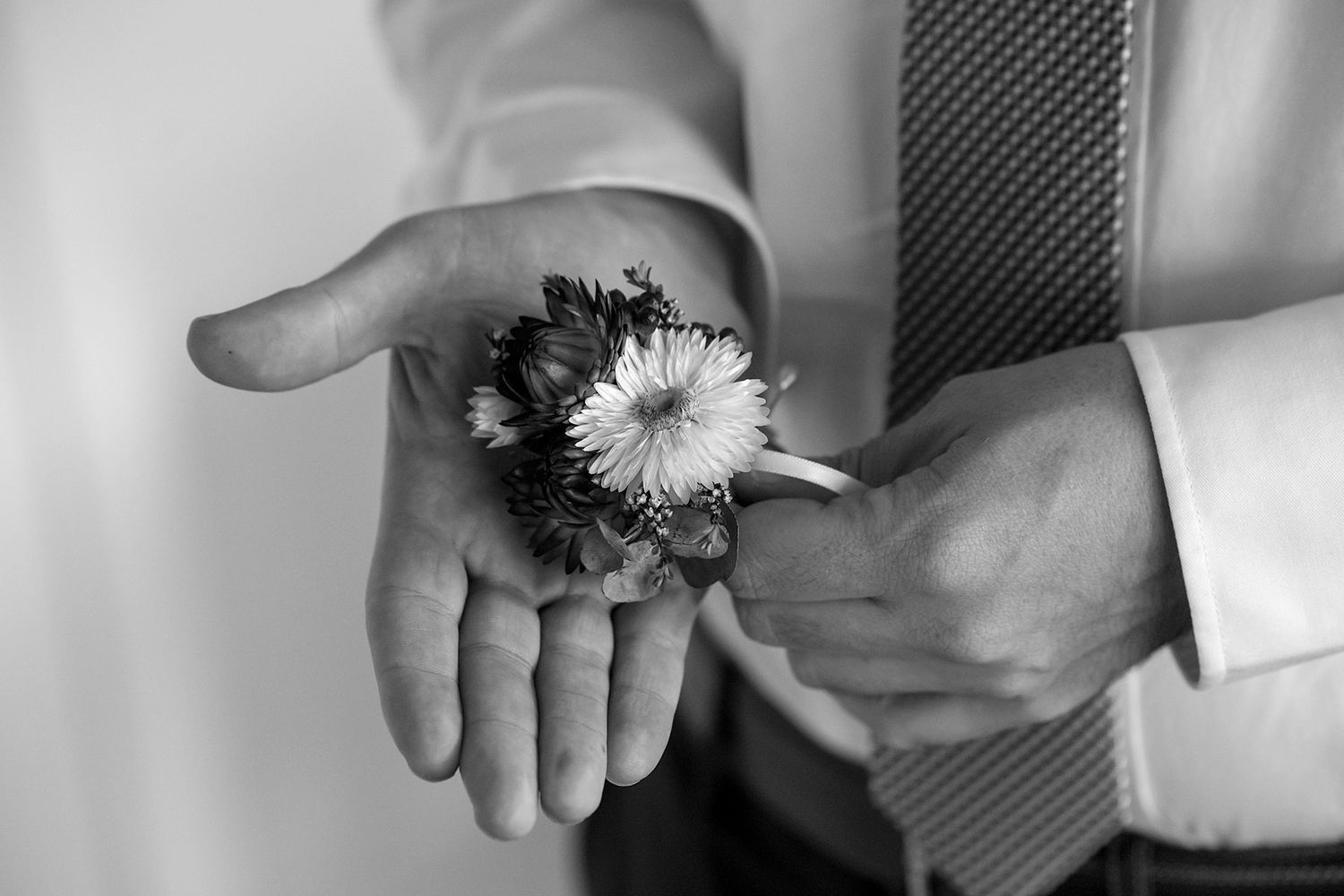 A black and white photo shows a small flower being held in an open palm with dress shirt sleeves visible.