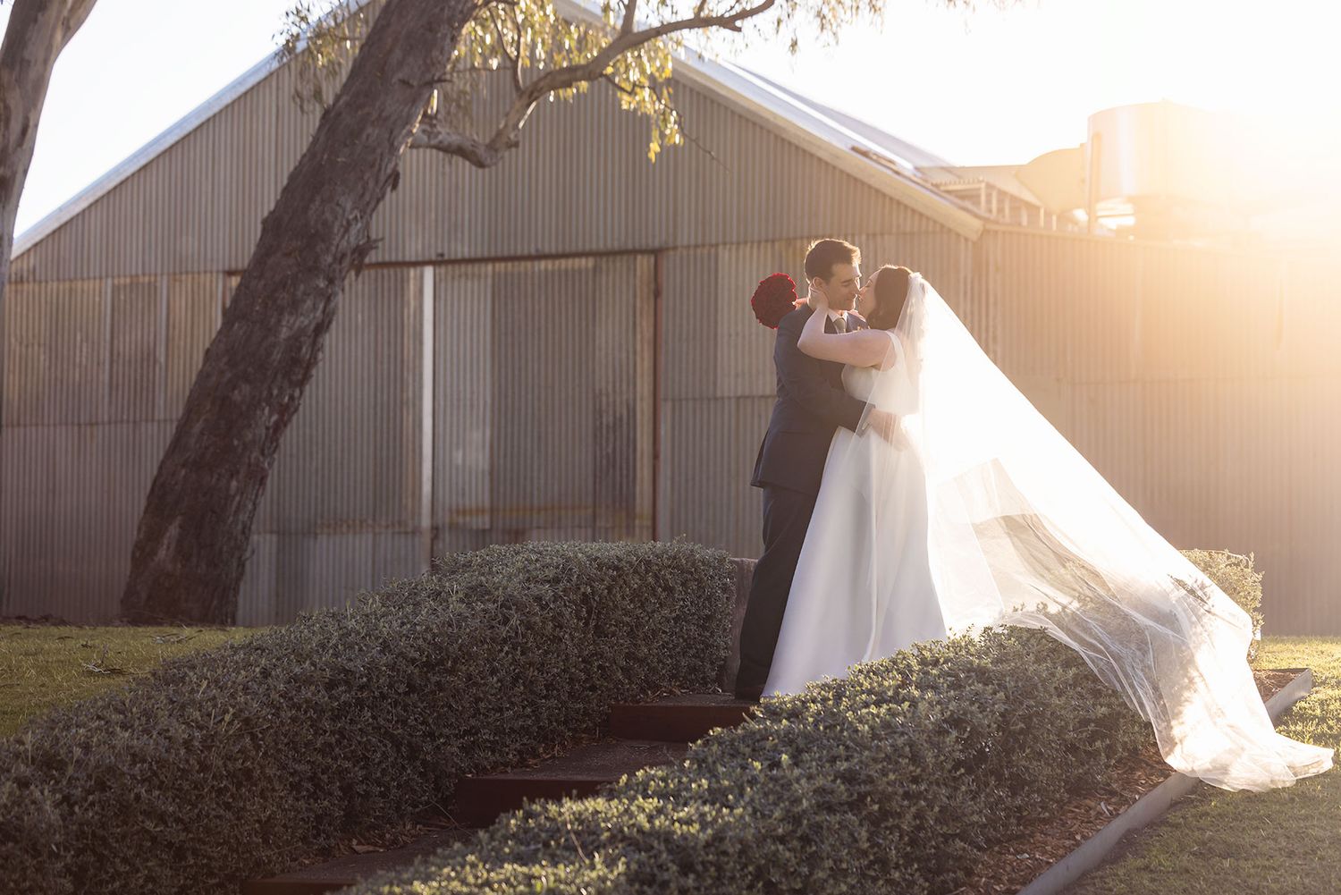 A Bride and Groom in wedding attire embrace in the golden sunlight beneath trees during a romantic sunset moment with an old building.