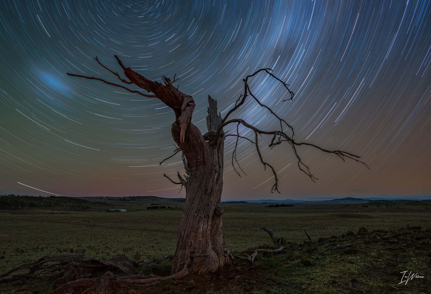 Monaro star trail