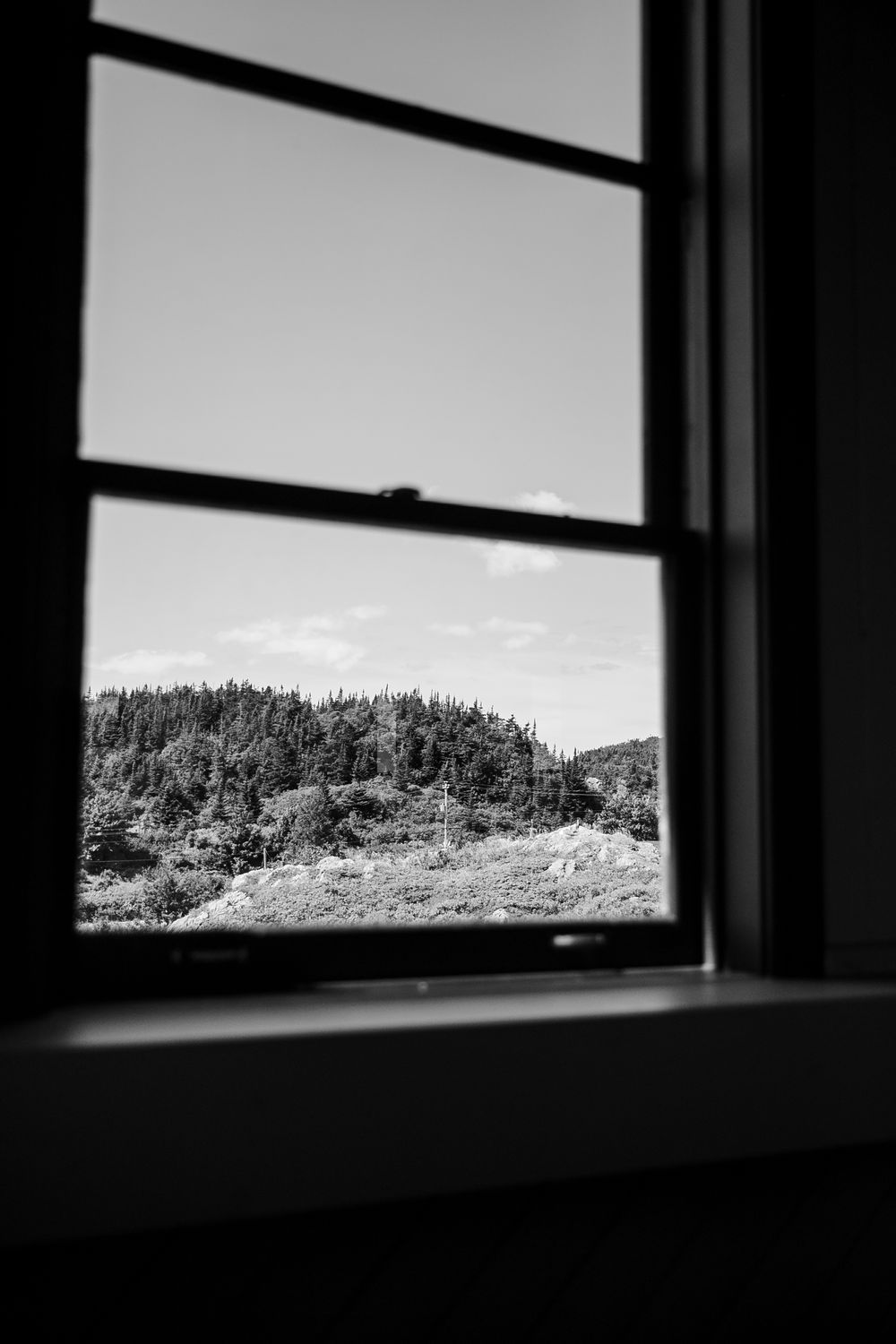 Black and white view through a window frame showing a forested hillside landscape against a bright sky.