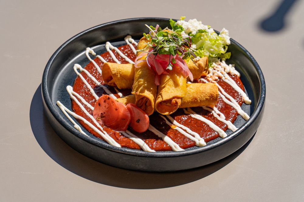 Mexican-style enchiladas drizzled with white sauce and garnished with fresh herbs on black plates.