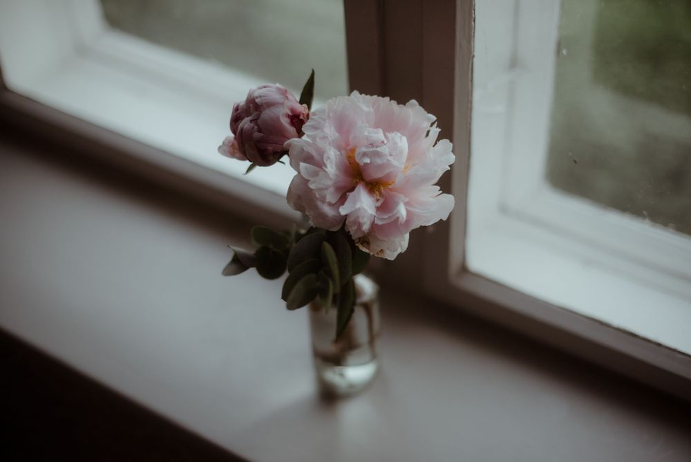 A delicate pink peony flower in a glass vase sits on a windowsill.