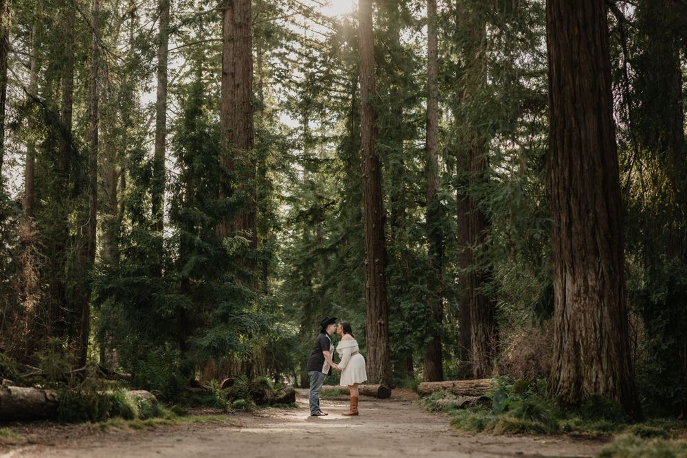 A couple stands on a forest path surrounded by towering redwood trees and lush greenery in a serene woodland setting.
