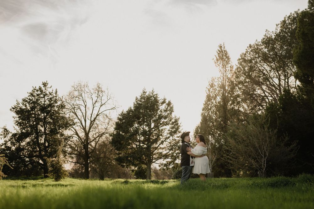 A serene landscape view of green grass and trees at sunset with soft golden lighting.