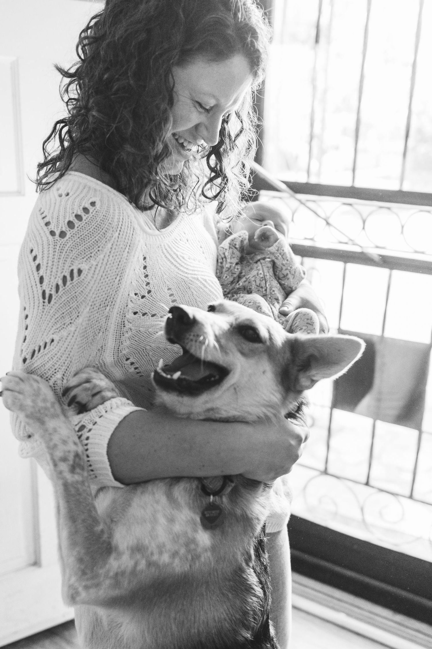 A person in a white sweater holds and pets a fluffy white cat near a window in a series of connected photos.