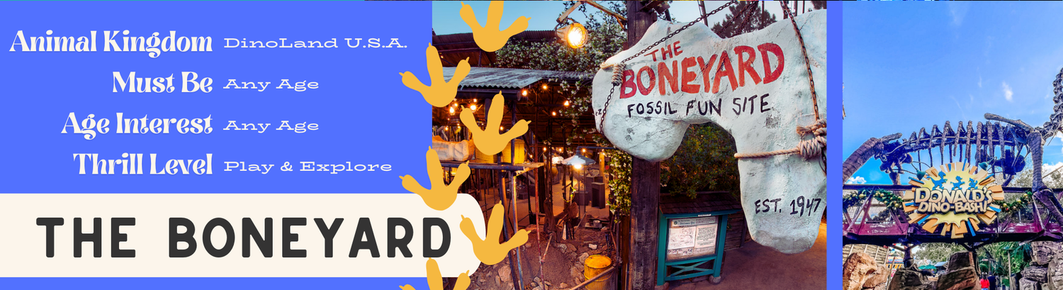 A collage banner featuring theme park attractions and logos including The Boneyard and Animal Kingdom.