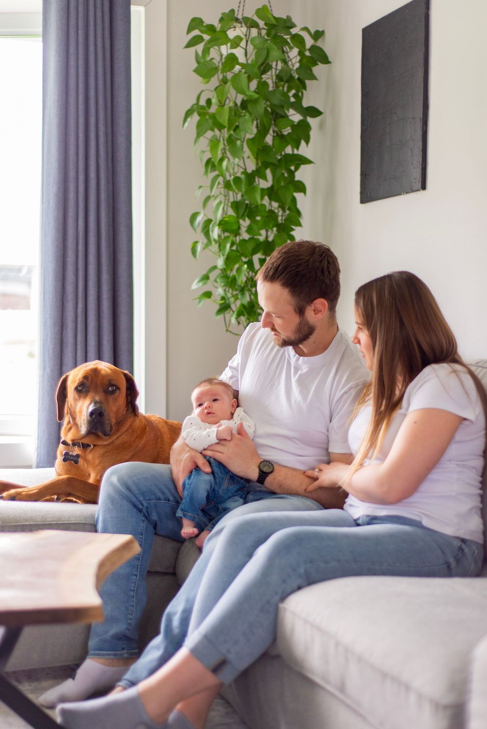 A modern living room scene with a family on the sofa, brown dog, and tall indoor plant.
