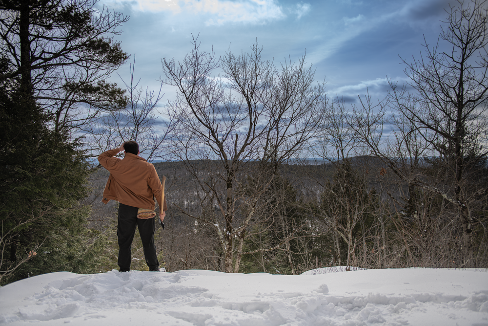 A person in a brown jacket stands on a snowy overlook surrounded by bare winter trees against a cloudy sky.