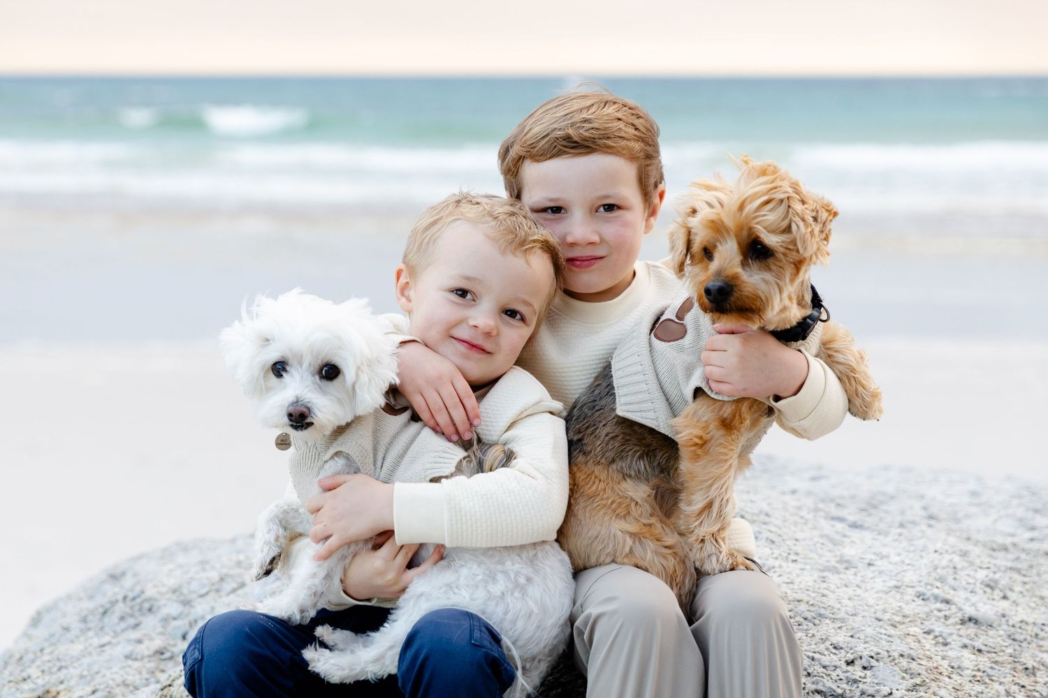 Two adorable dogs with their companions sitting together on a beach with ocean waves in the background.