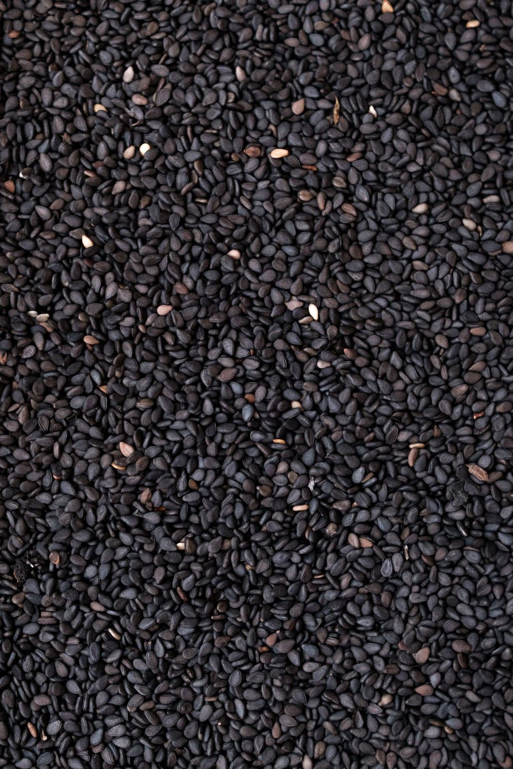 Black sesame seeds background texture filling entire frame.