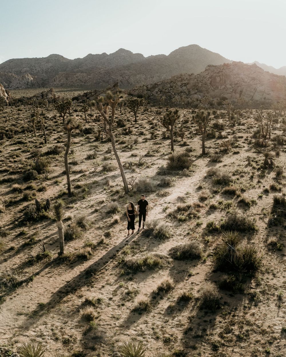 Two hikers walking on a desert trail among Joshua trees with rugged mountains in the distance at sunset.