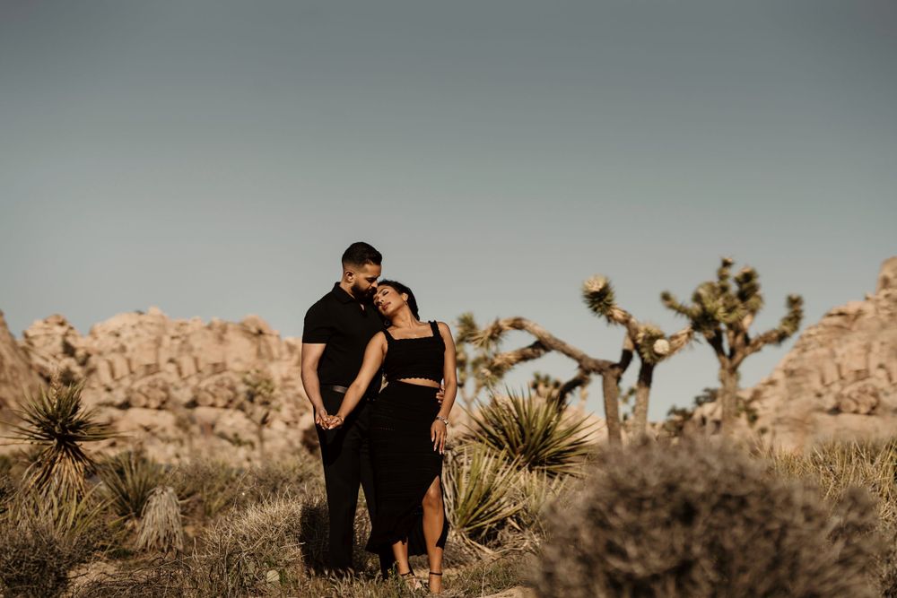 A couple embraces in a desert landscape with Joshua trees and rocky formations at sunset.