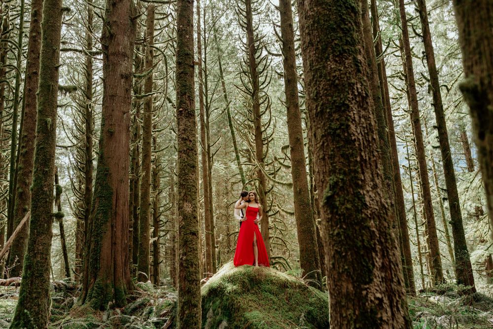 A figure in a striking red dress stands on a mossy rock amidst towering evergreen trees in a misty forest.