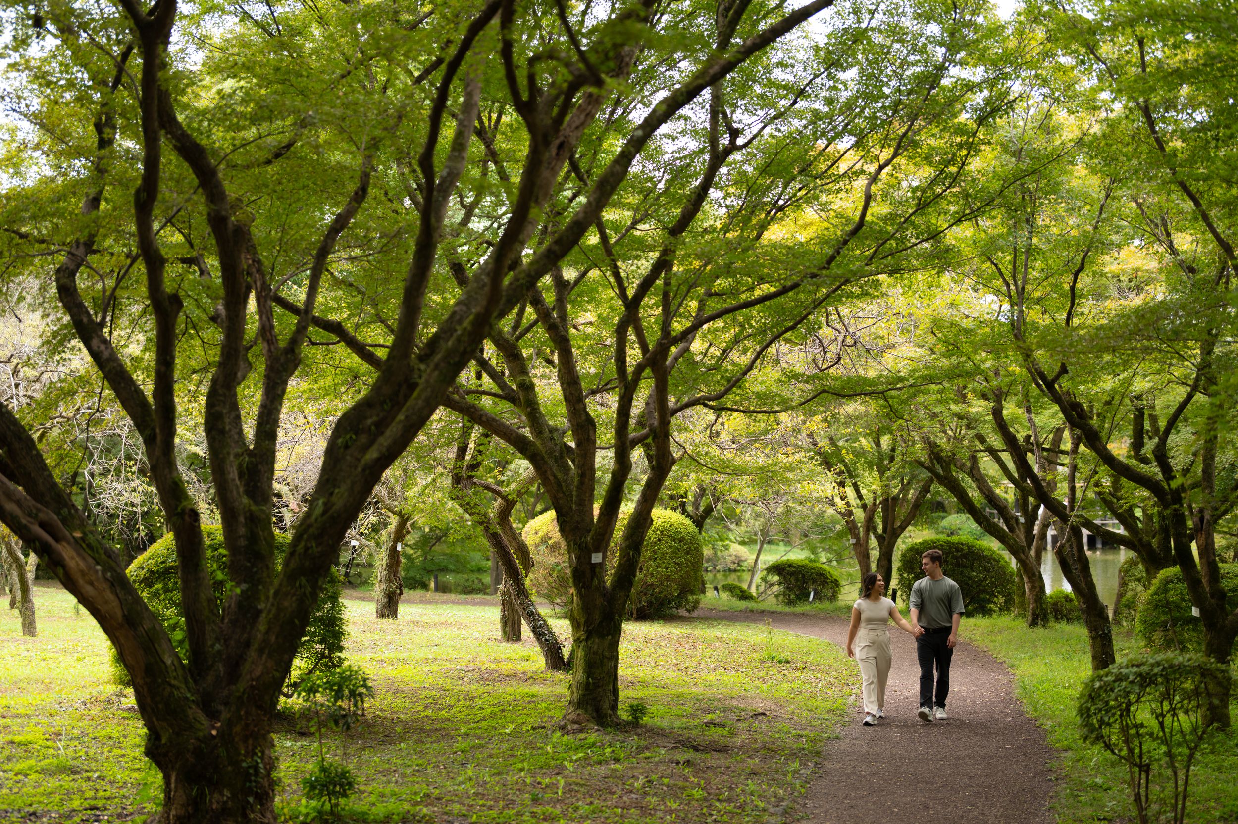 Couple walking hand in hand along a lush tree-lined path in a serene Japanese garden.