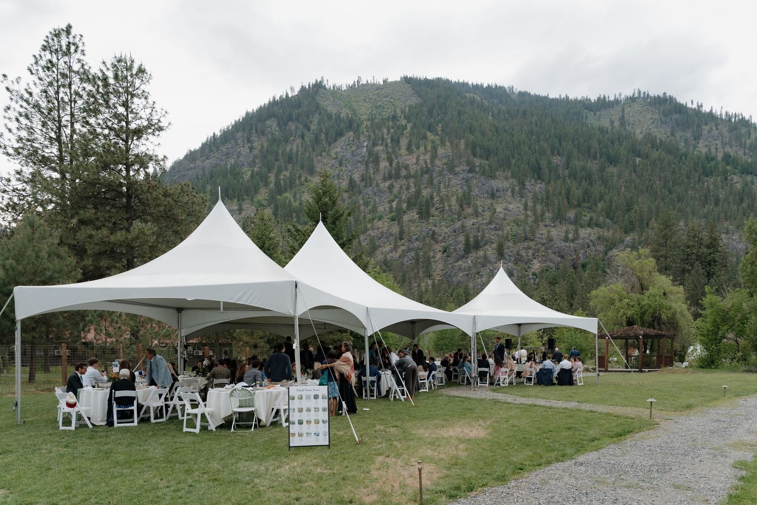 White event tents set up in a scenic mountain meadow with evergreen trees and rolling hills in the background.