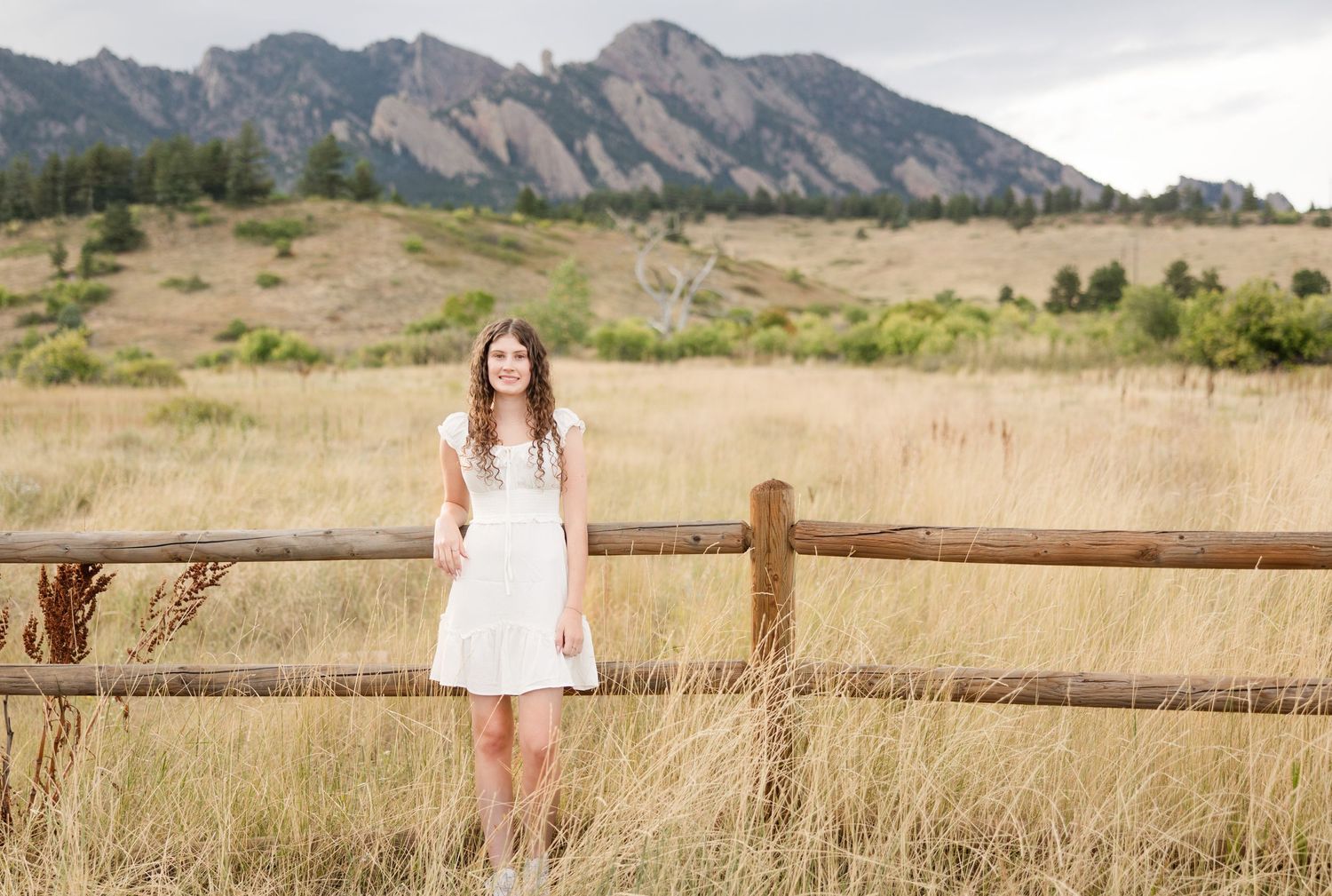 A scenic panoramic view of the Colorado Flatirons mountains with golden grasslands in the foreground at sunset.