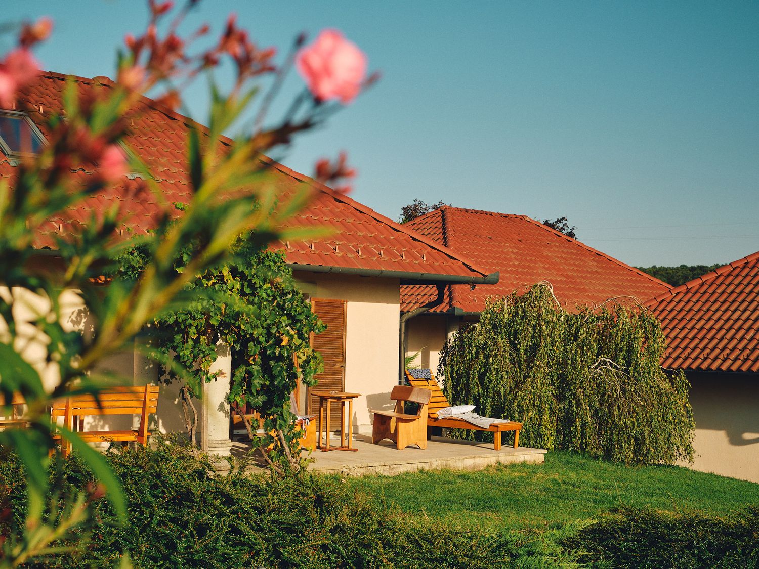 Panoramic view of suburban houses with red tile roofs against a blue sky with pink flowering trees in the foreground.