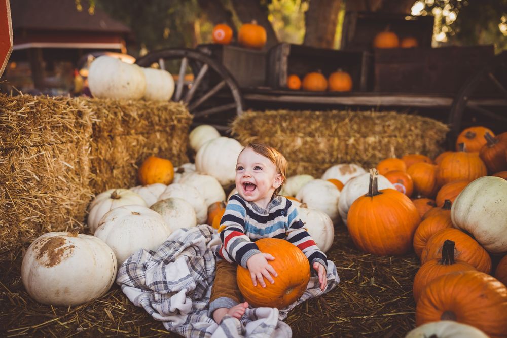 A laughing child sits among white and orange pumpkins at a rustic autumn harvest display.