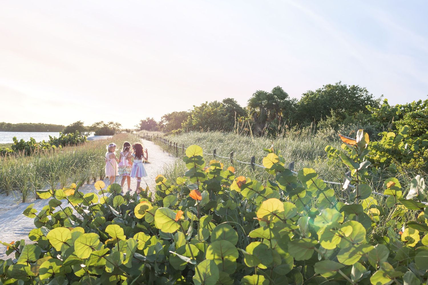 Curry Hammock State Park, Marathon Florida Family Photography