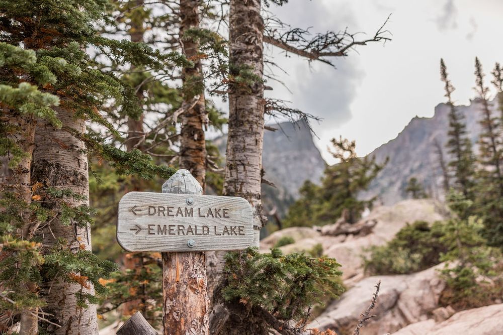 A wooden trail sign points towards Dread Lake and Emerald Lake along a mountain hiking path in the forest.