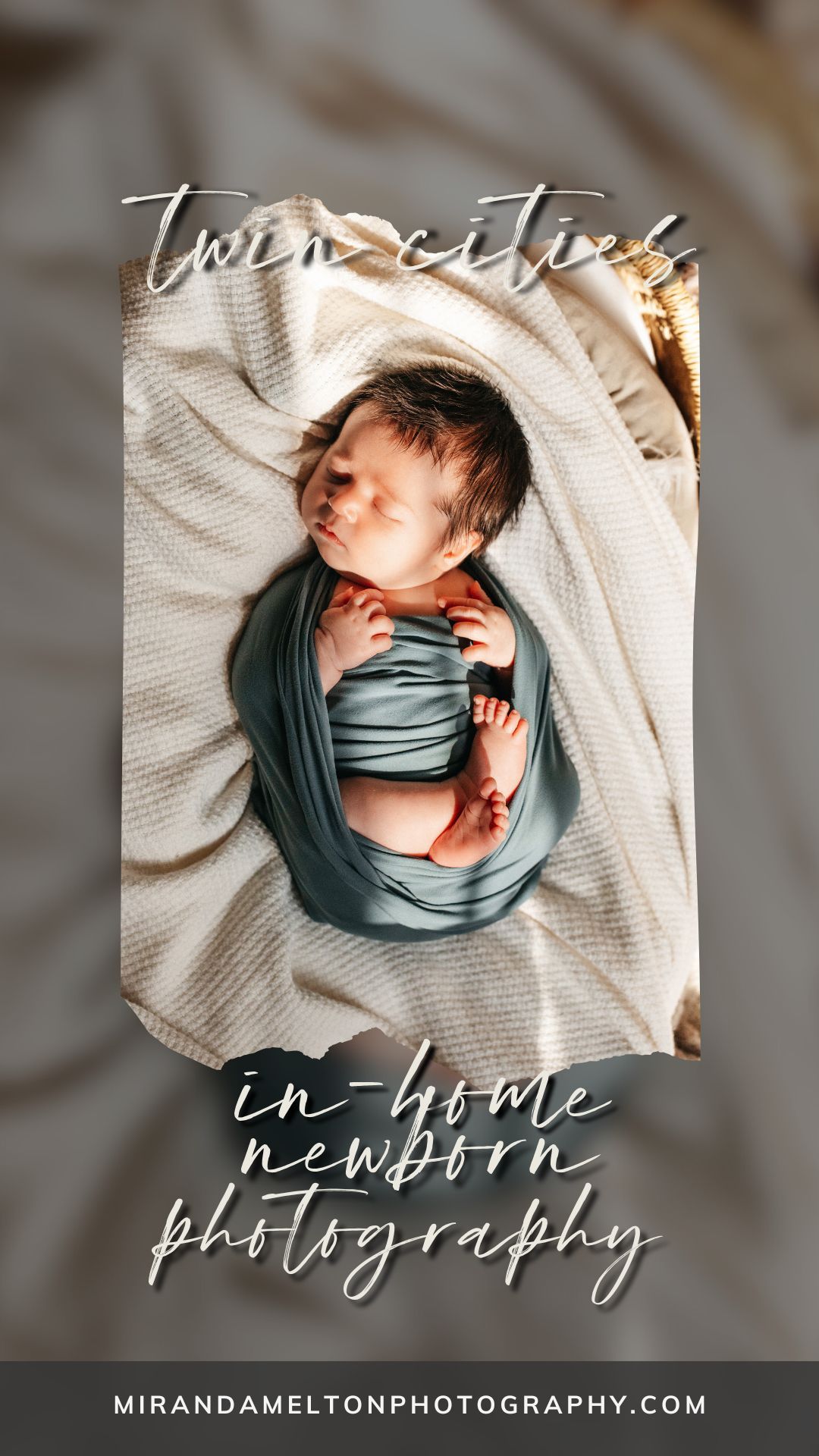 A swaddled newborn sleeps in window light at his newborn photos in New Prague, MN.