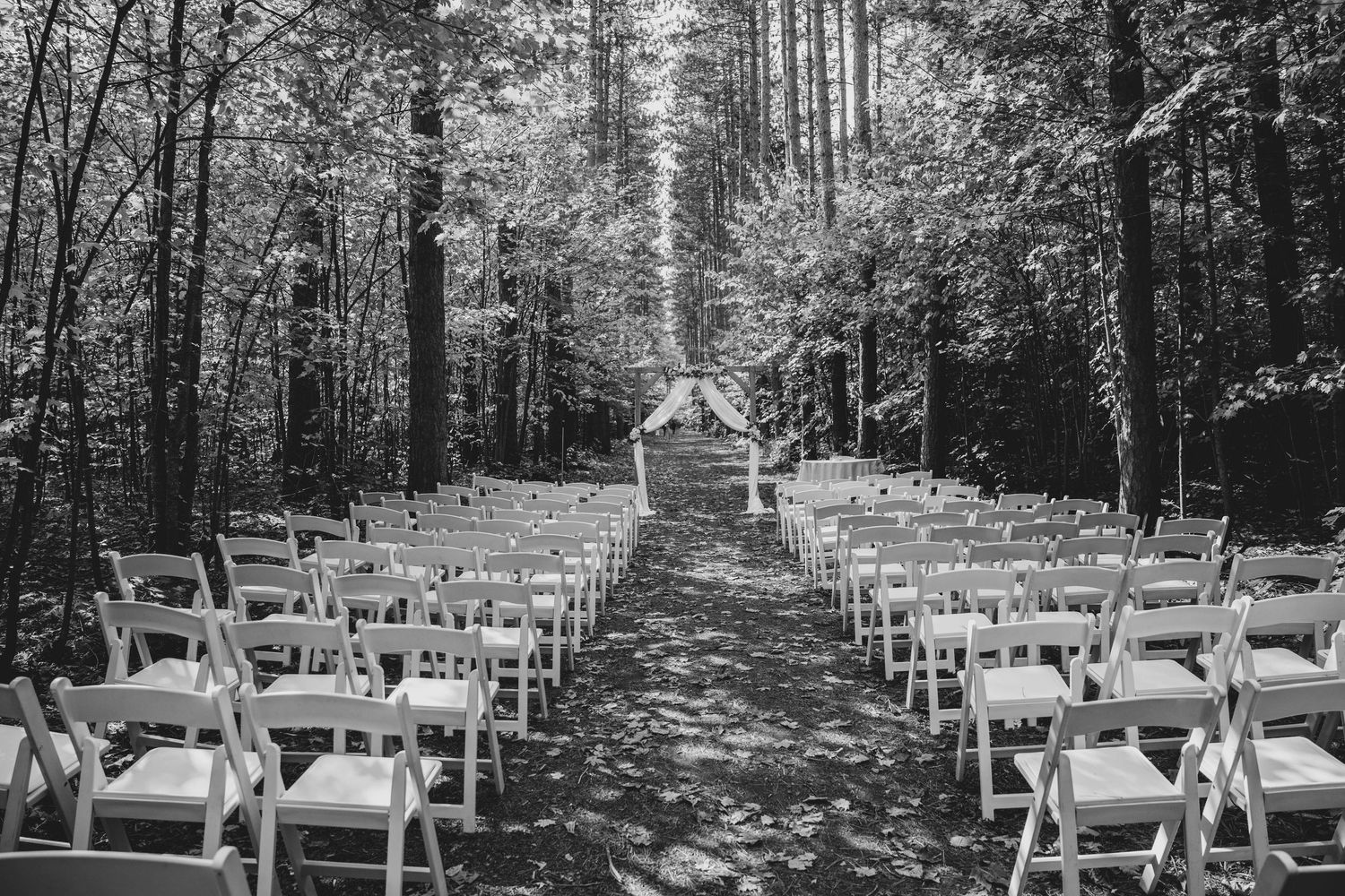 White wooden chairs arranged in rows for an outdoor forest wedding ceremony.