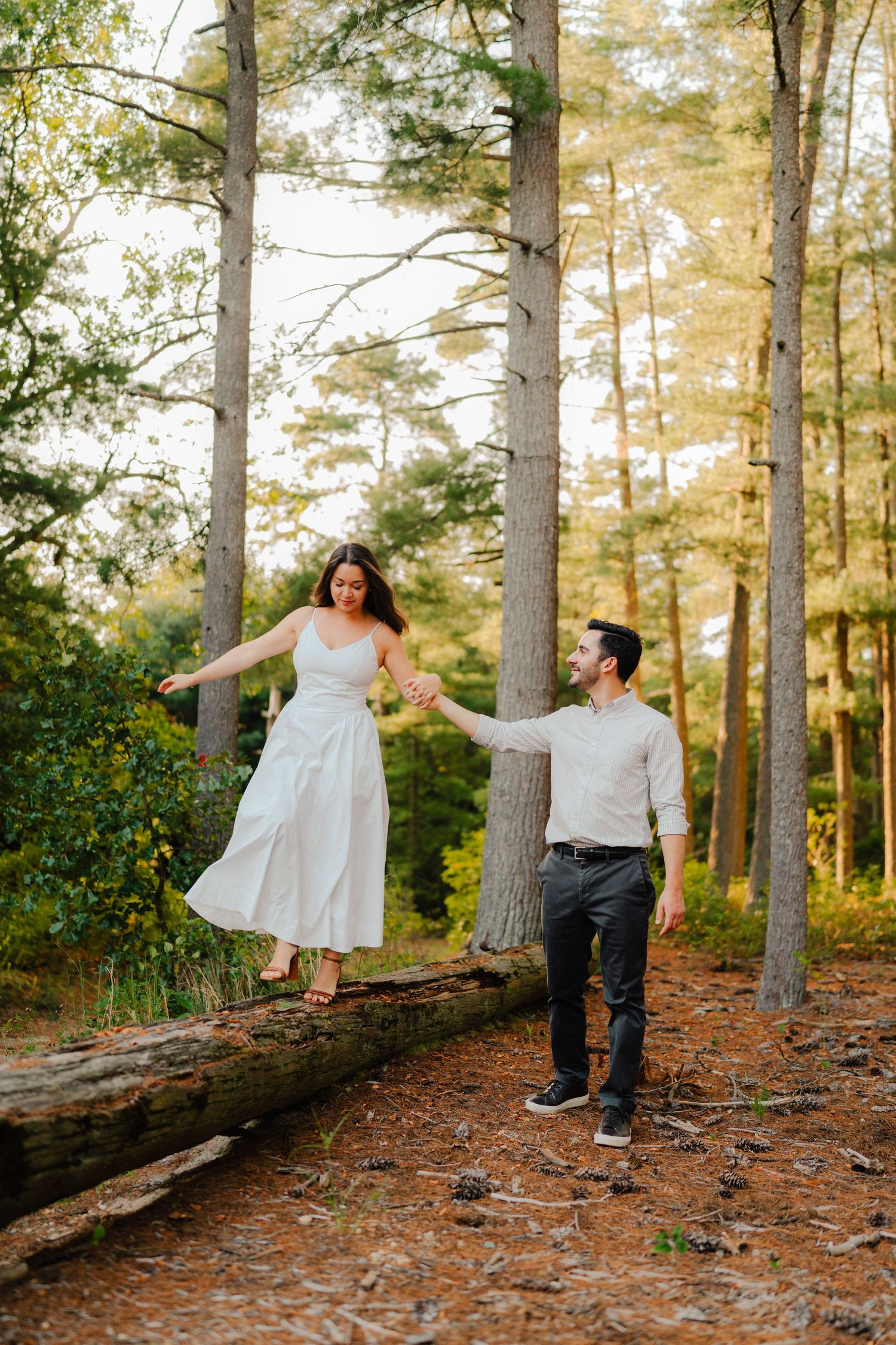 A couple dances playfully on a fallen log in a sunlit pine forest during an outdoor photo session.