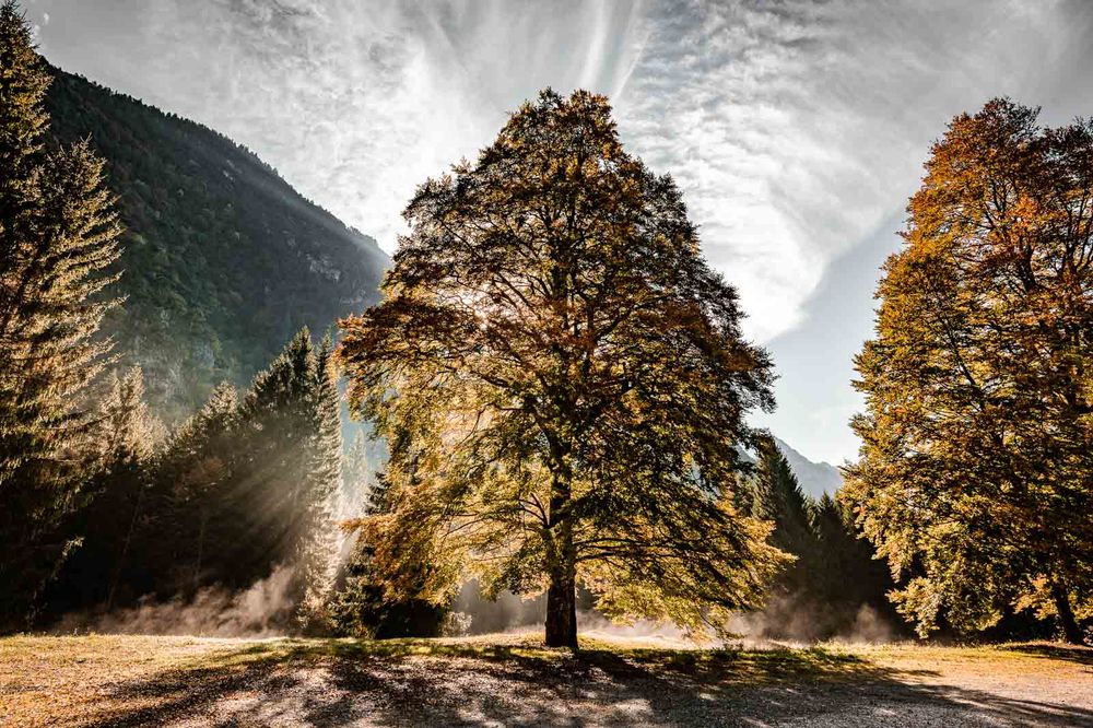 fotografie michal schneider foto photo photography italy italie dolomity dolomites black and white light světlo západ cesta cena
