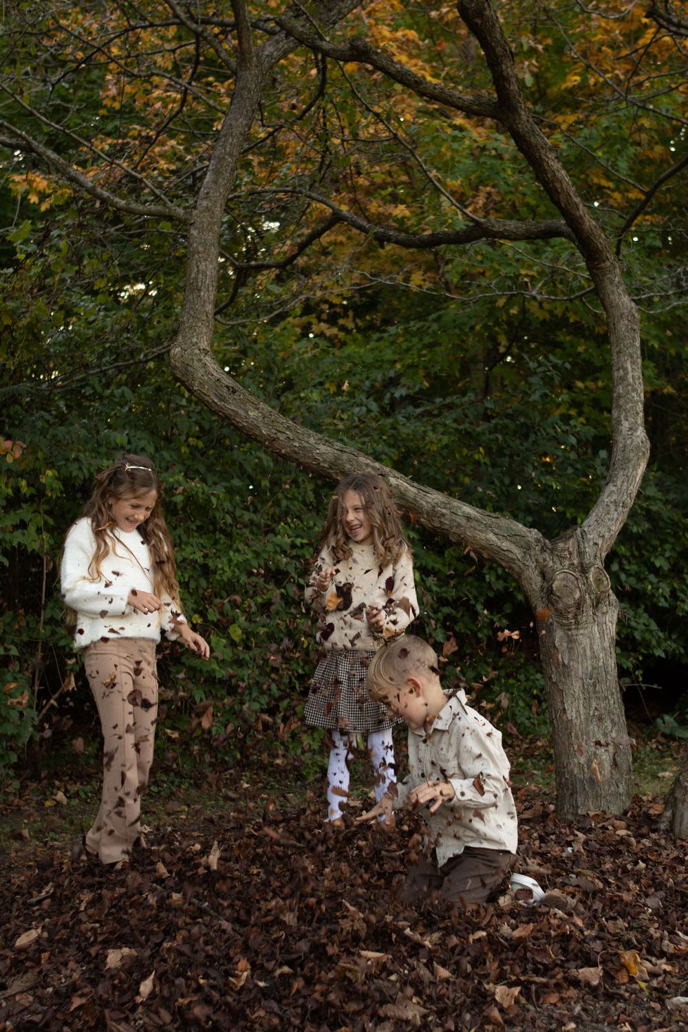 Children playing in fallen autumn leaves beneath trees in a wooded area.