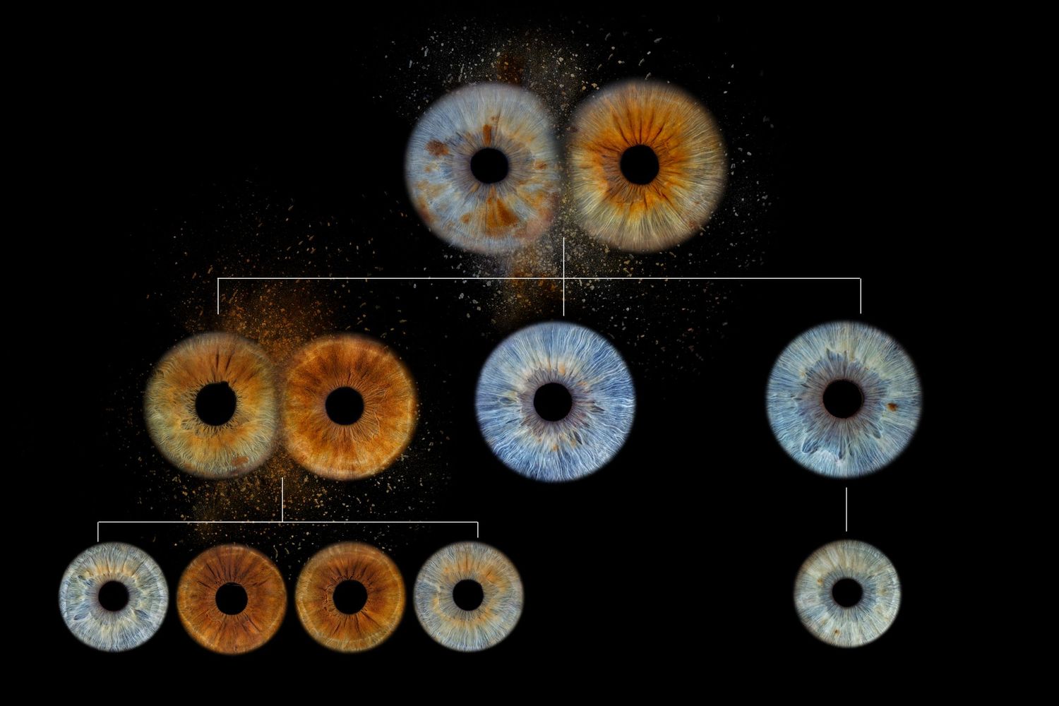 A sequence of close-up iris photographs showing different colored human eyes with detailed patterns and textures.