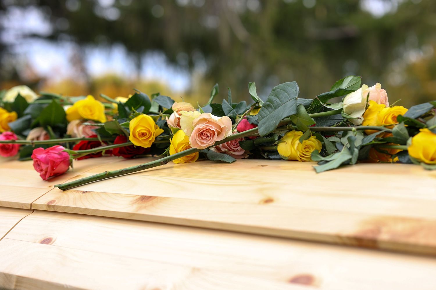 Flowers on wooden casket