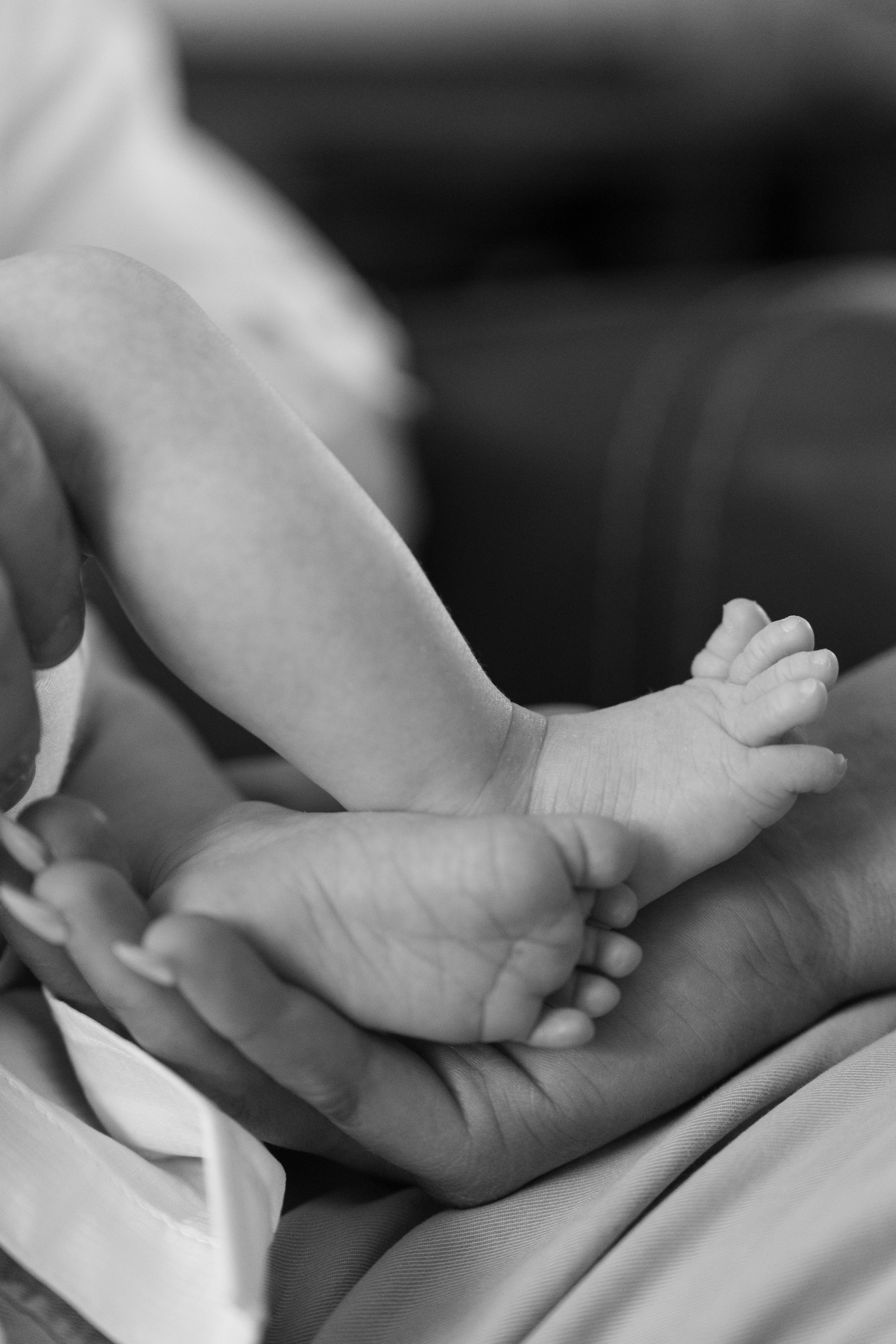 Black and white photo of a newborn baby's tiny feet cradled gently in an adult's hands.