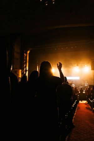 Silhouetted concert audience with raised hands against warm orange stage lighting.