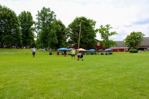 Wide view of a green field with tents and spectators during a Highland Games competition.