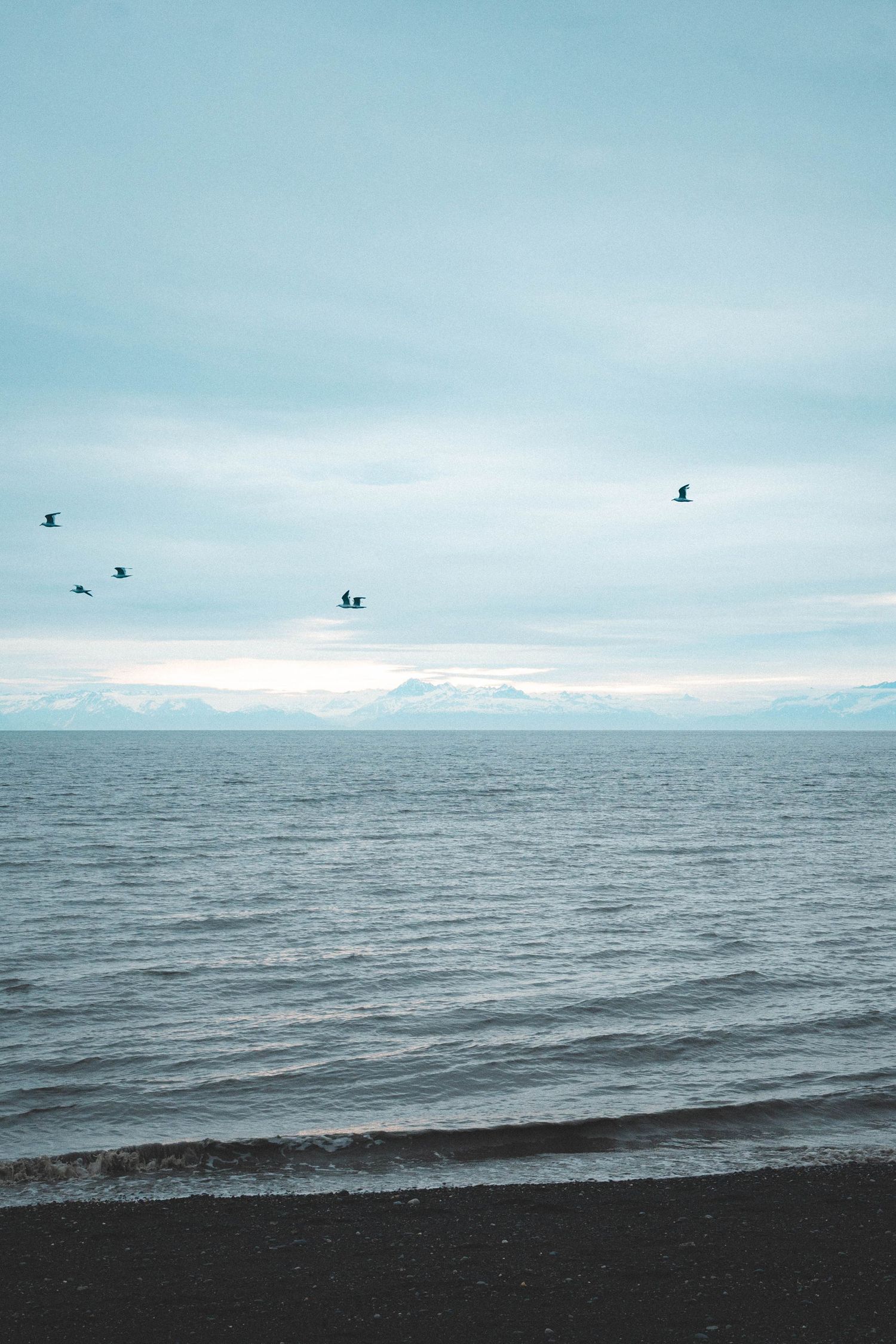 Birds flying over calm ocean waves with distant mountains and overcast sky on a serene beach.