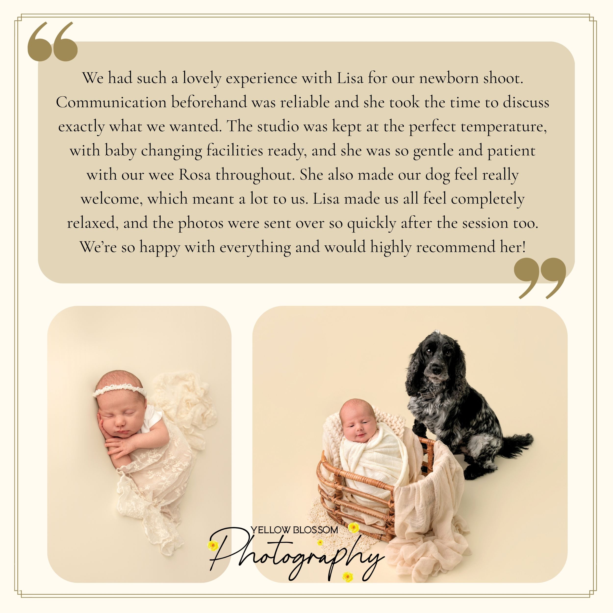 Newborn photography studio collage showing sleeping baby with dog and glowing client review by Yellow Blossom Photography.