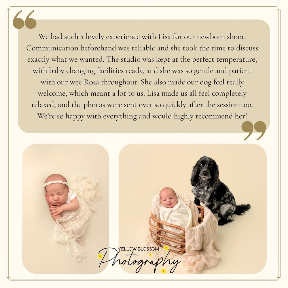 Newborn photography studio collage showing sleeping baby with dog and glowing client review by Yellow Blossom Photography.