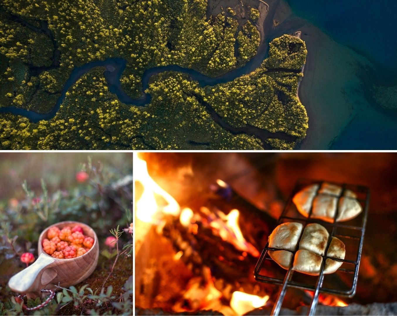 Aerial view of a winding river through lush forest, a bowl of wild berries, and bread toasting over a campfire.