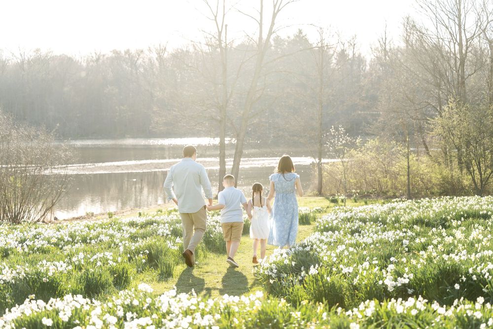 Family of four walking hand in hand through a sunlit daffodil field near a lake.