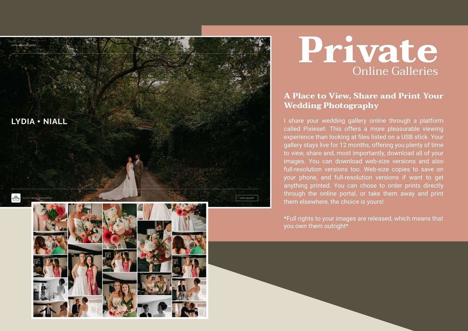 Wedding photography private online gallery brochure showing couple portraits and colorful reception photos with sharing features.