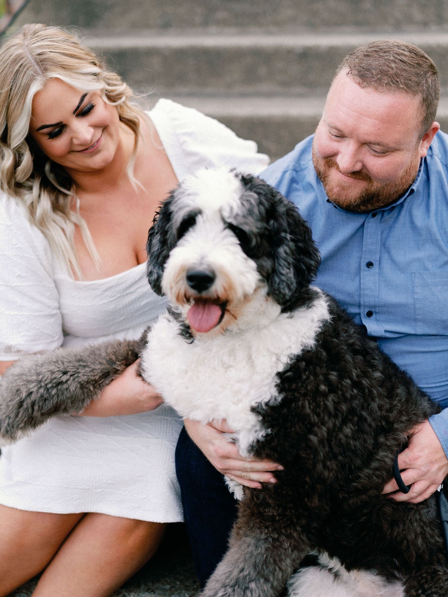 Couple sitting on steps with a black and white Sheepadoodle dog, woman in white dress and man in blue shirt.