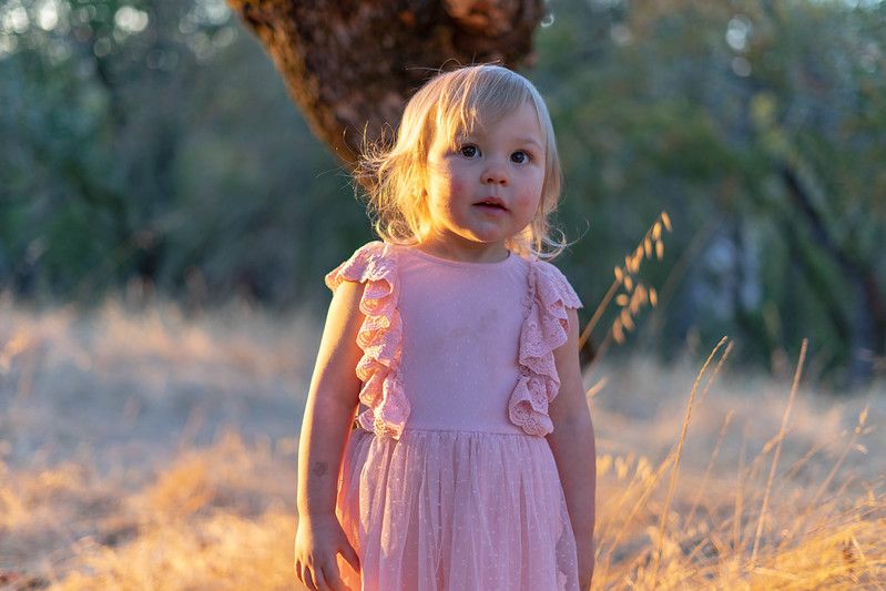 A small child in a pink ruffle dress stands in a sunlit field at golden hour.