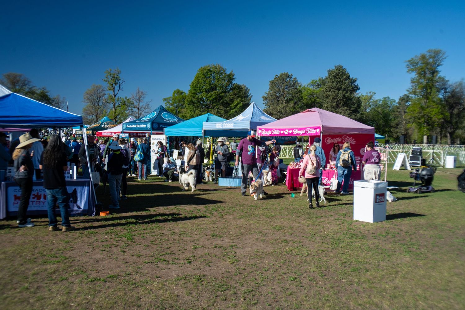 Outdoor festival with colorful vendor tents on green lawn under blue sky, with people and dogs browsing booths.