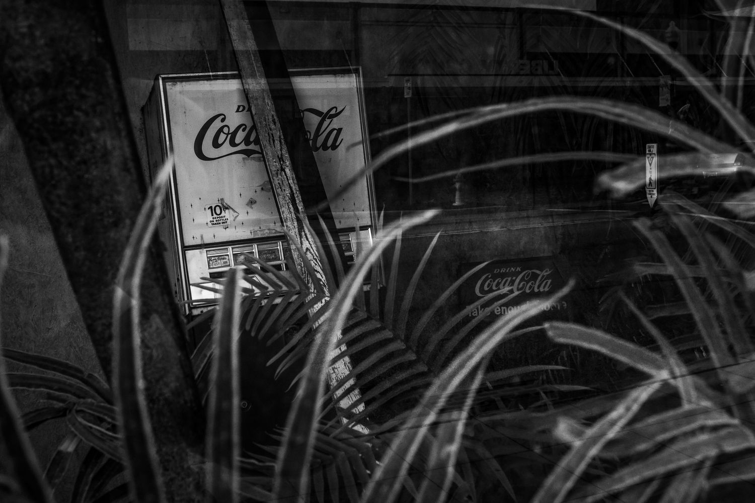 freelancer, South Carolina, photographer, fine art, wedding, commercial, nature, reenactment, gallery, freelance, monochrome, bridge, groom