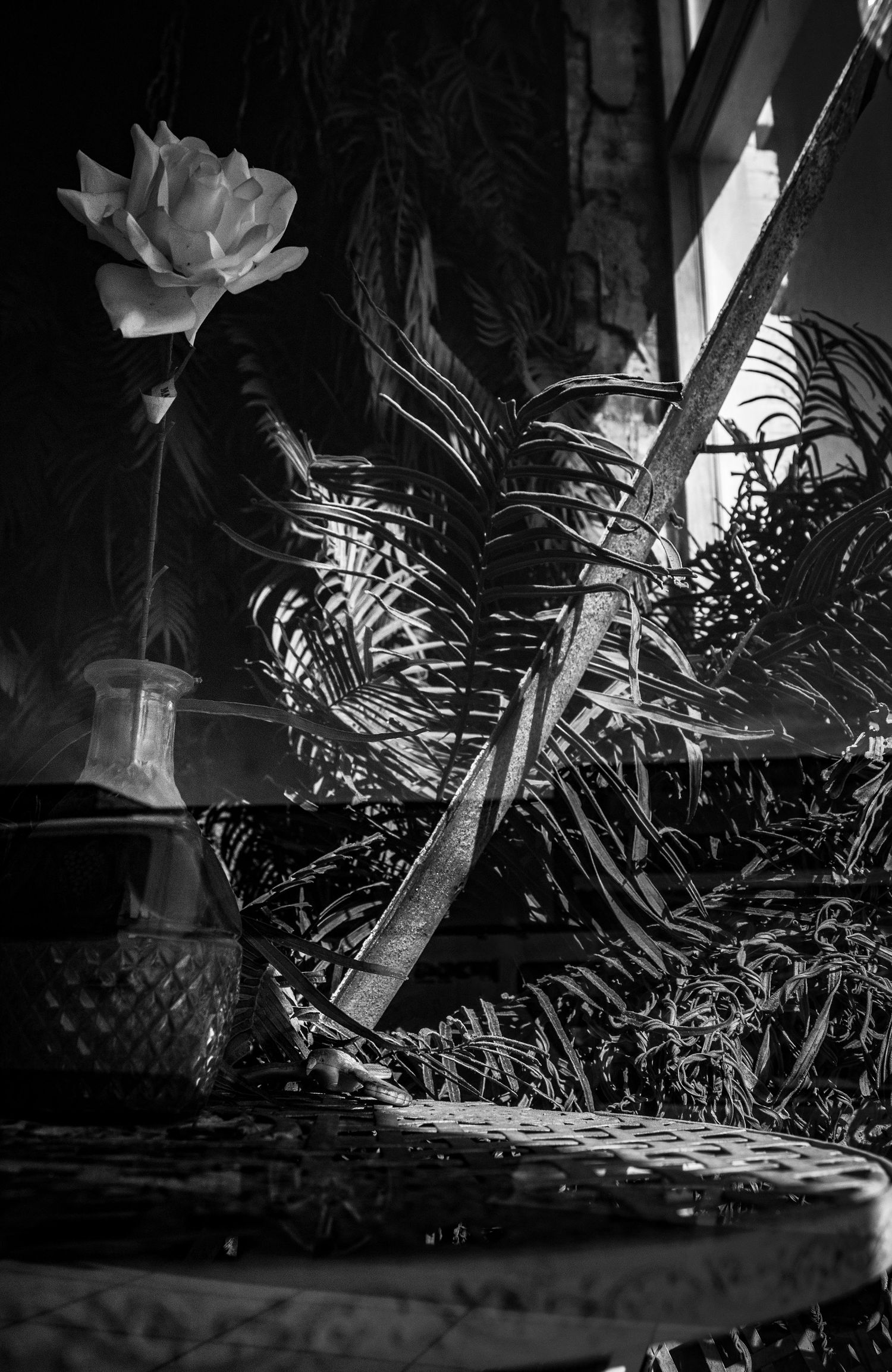 freelancer, South Carolina, photographer, fine art, wedding, commercial, nature, reenactment, gallery, freelance, monochrome, bridge, groom